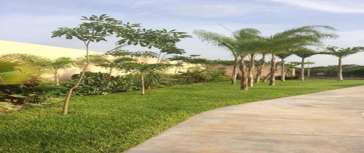 Foto de terreno habitacional en venta en  , temozon norte, mérida, yucatán, 0 No. 03