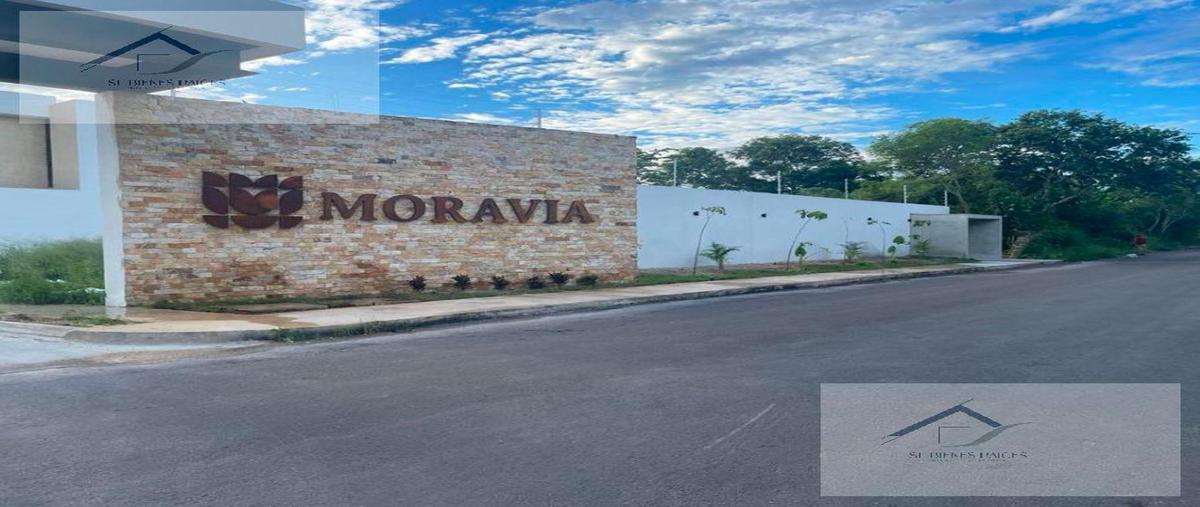 Foto de casa en venta en  , temozon norte, mérida, yucatán, 0 No. 04