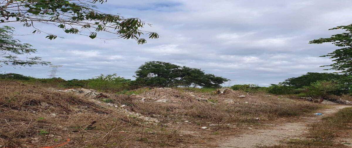 Foto de terreno habitacional en venta en  , temozon norte, mérida, yucatán, 29129861 No. 03