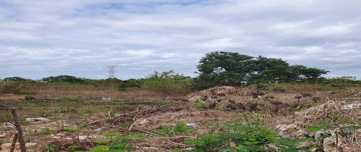 Foto de terreno habitacional en venta en  , temozon norte, mérida, yucatán, 29129861 No. 04
