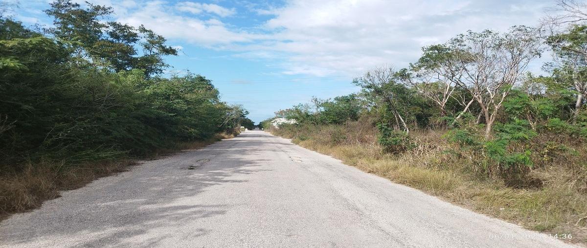 Foto de terreno habitacional en venta en  , temozon norte, mérida, yucatán, 0 No. 04