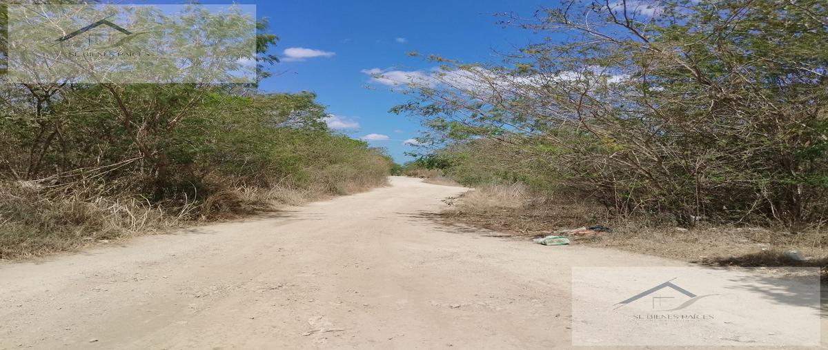 Foto de terreno habitacional en venta en  , temozon norte, mérida, yucatán, 29337087 No. 05