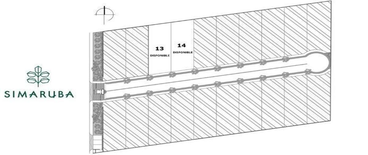 Foto de terreno habitacional en venta en  , temozon norte, mérida, yucatán, 29393405 No. 03