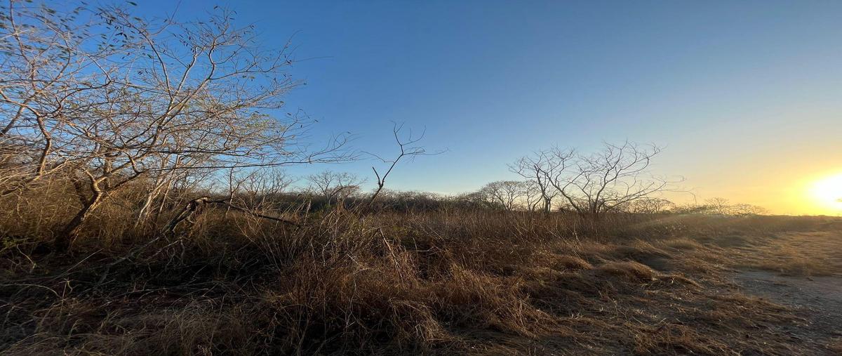 Foto de terreno habitacional en venta en  , temozon norte, mérida, yucatán, 0 No. 05