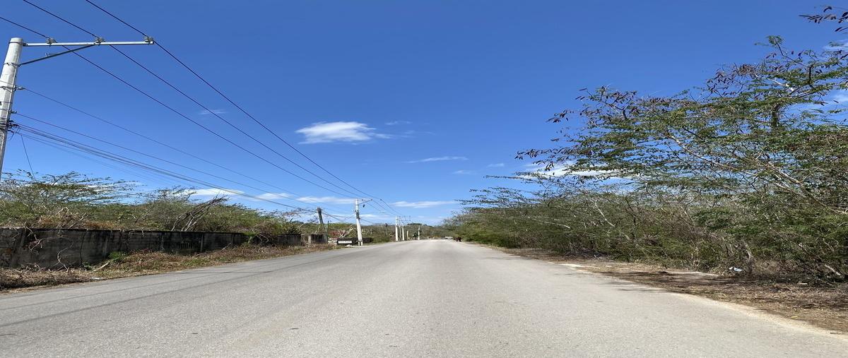 Foto de terreno habitacional en venta en  , temozon norte, mérida, yucatán, 0 No. 04
