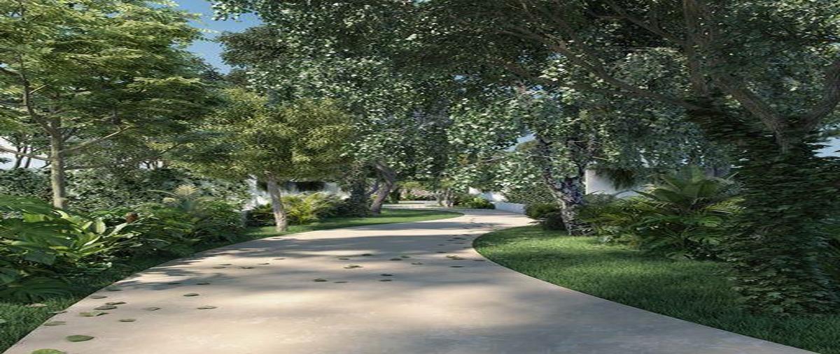 Foto de terreno habitacional en venta en  , temozon norte, mérida, yucatán, 0 No. 05