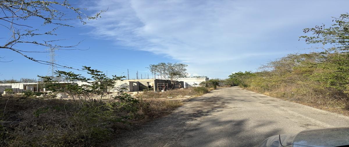 Foto de terreno habitacional en venta en . , temozon norte, mérida, yucatán, 29872035 No. 05