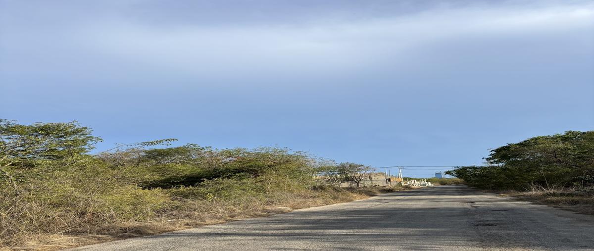 Foto de terreno habitacional en venta en . , temozon norte, mérida, yucatán, 29872036 No. 03