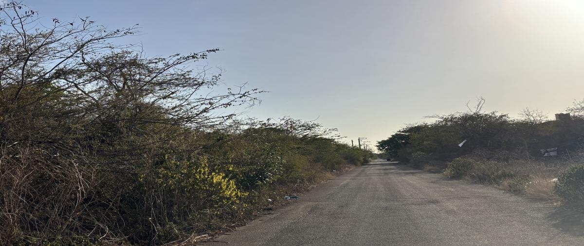 Foto de terreno habitacional en venta en . , temozon norte, mérida, yucatán, 29872036 No. 04