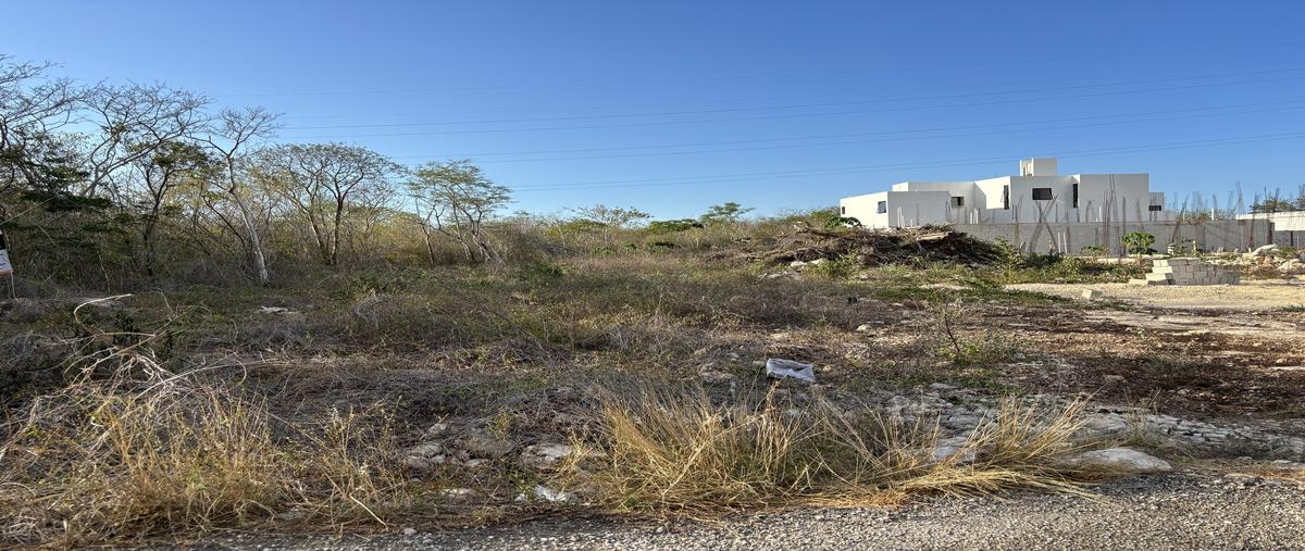 Foto de terreno habitacional en venta en . , temozon norte, mérida, yucatán, 29872036 No. 05
