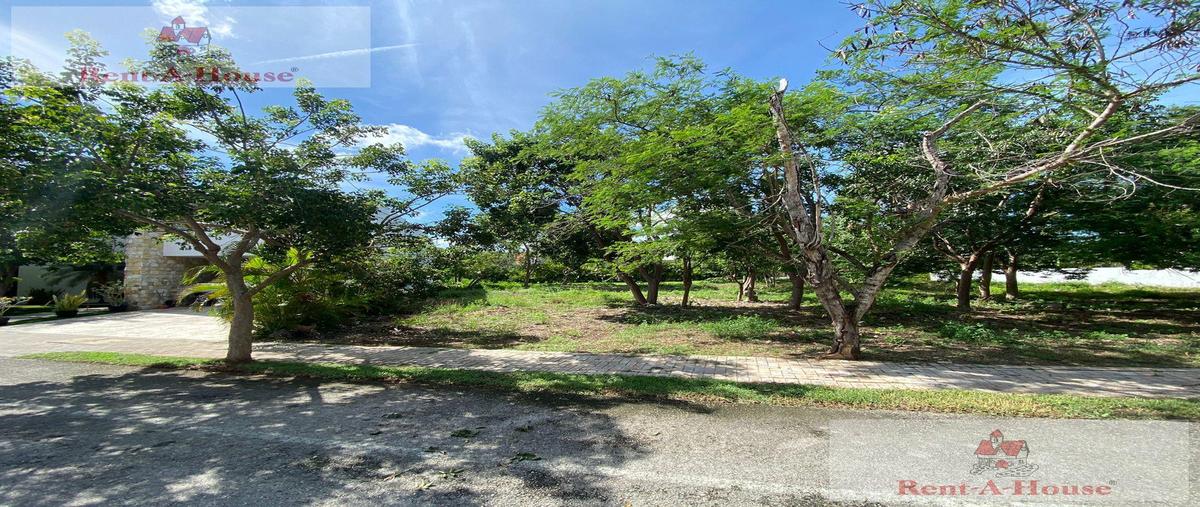 Foto de terreno habitacional en , temozon norte, mérida, yucatán, 29909881 foto 03 Foto de terreno habitacional en venta en , temozon norte, mérida, yucatán, 29909881 No. 03
