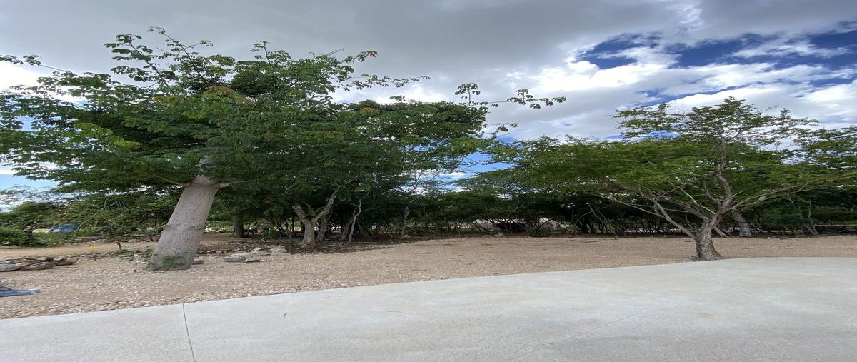 Foto de terreno habitacional en venta en  , temozon norte, mérida, yucatán, 29949868 No. 05