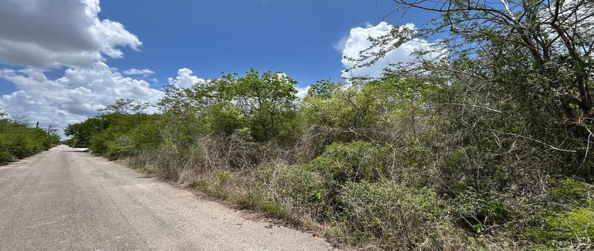 Foto de terreno habitacional en venta en  , temozon norte, mérida, yucatán, 30009615 No. 03