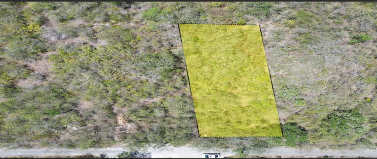 Foto de terreno habitacional en venta en  , temozon norte, mérida, yucatán, 30009729 No. 05