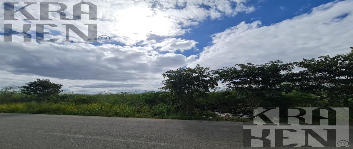 Foto de terreno habitacional en venta en  , temozon norte, mérida, yucatán, 30011145 No. 04
