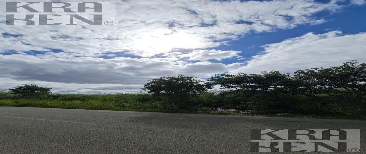 Foto de terreno habitacional en venta en  , temozon norte, mérida, yucatán, 30011145 No. 05