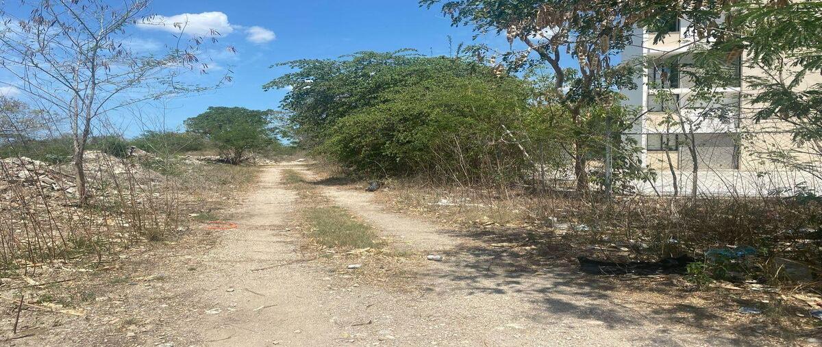 Foto de terreno habitacional en venta en  , temozon norte, mérida, yucatán, 0 No. 03