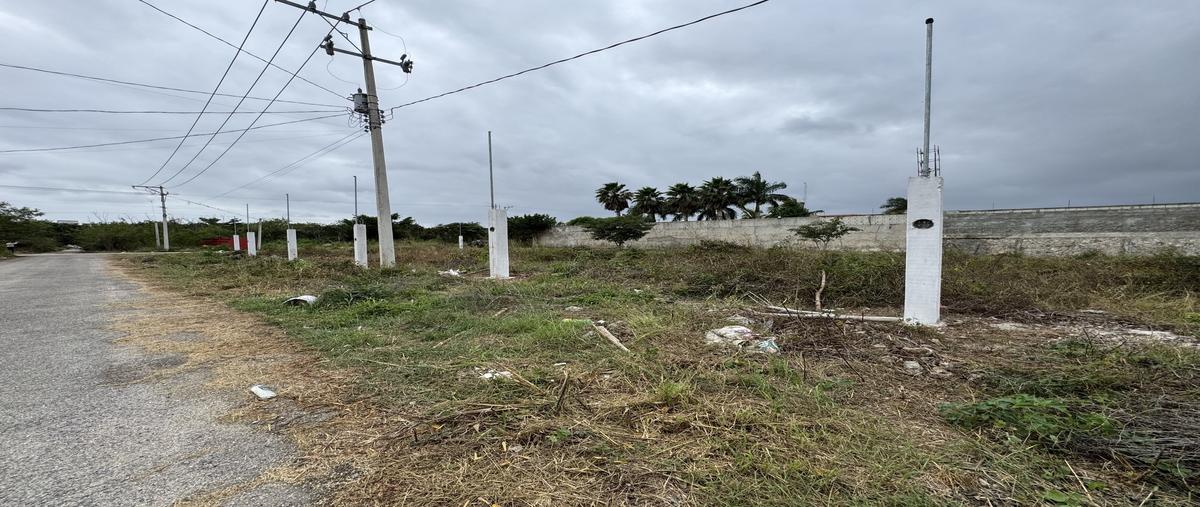 Foto de terreno habitacional en venta en  , temozon norte, mérida, yucatán, 30070085 No. 03