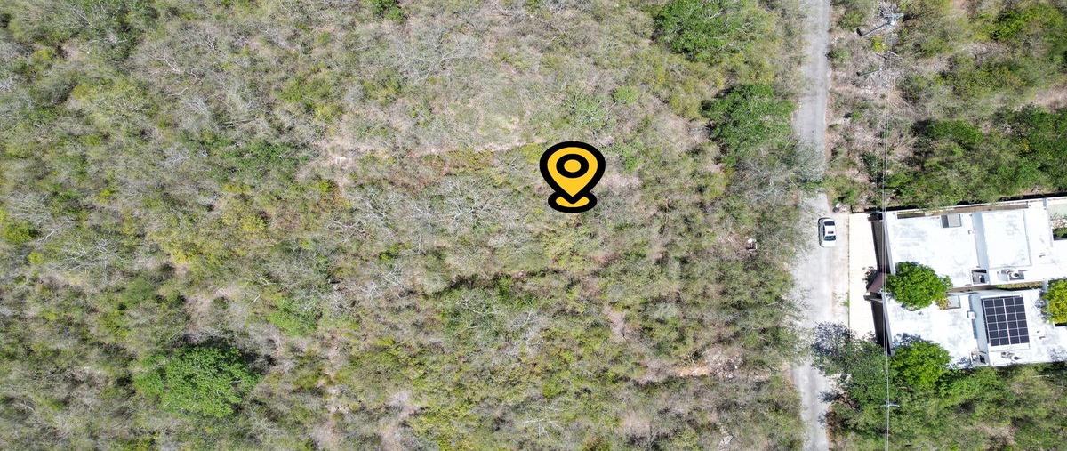 Foto de terreno habitacional en venta en  , temozon norte, mérida, yucatán, 0 No. 03