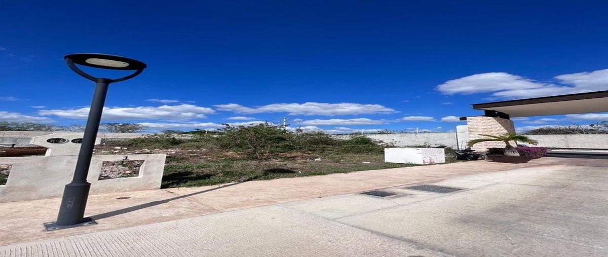 Foto de terreno habitacional en venta en  , temozon norte, mérida, yucatán, 30147381 No. 05