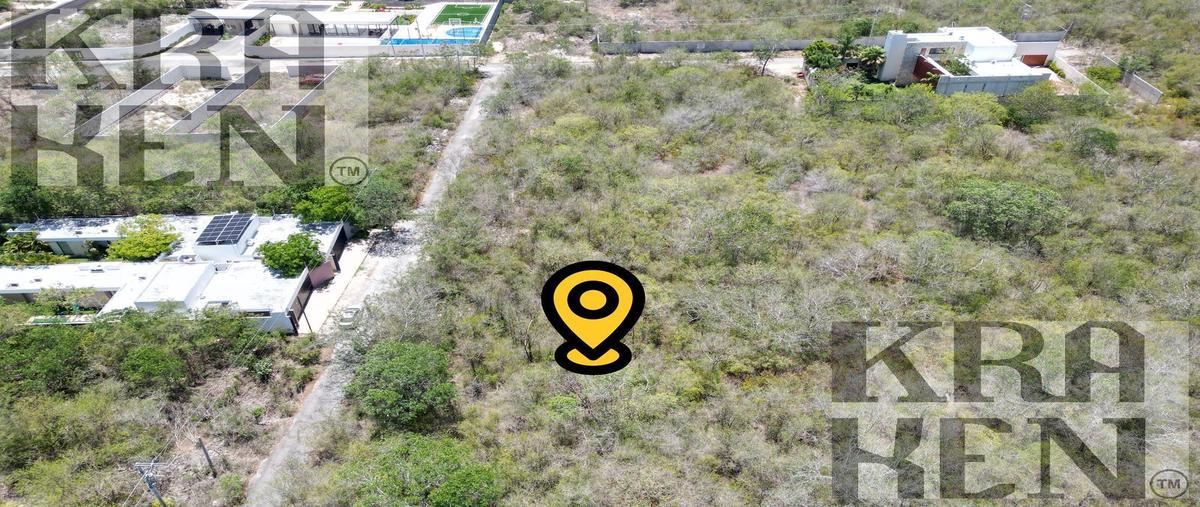 Foto de terreno habitacional en venta en  , temozon norte, mérida, yucatán, 30164348 No. 03