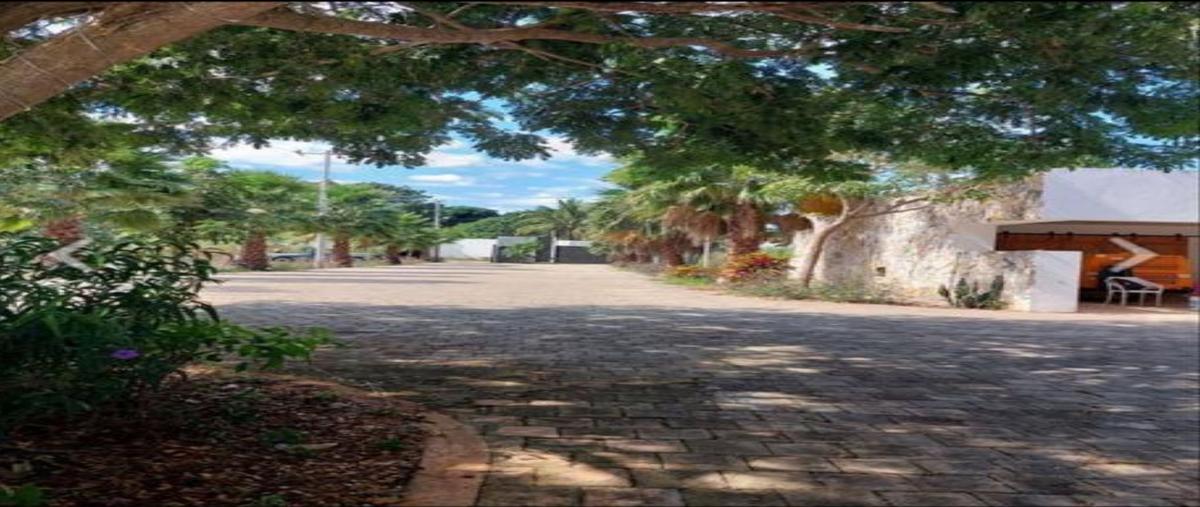 Foto de terreno habitacional en venta en  , temozon norte, mérida, yucatán, 30334383 No. 05
