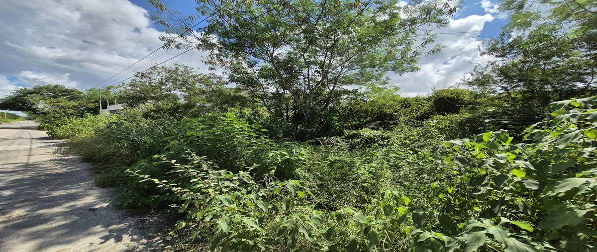 Foto de terreno habitacional en venta en  , temozon norte, mérida, yucatán, 0 No. 03