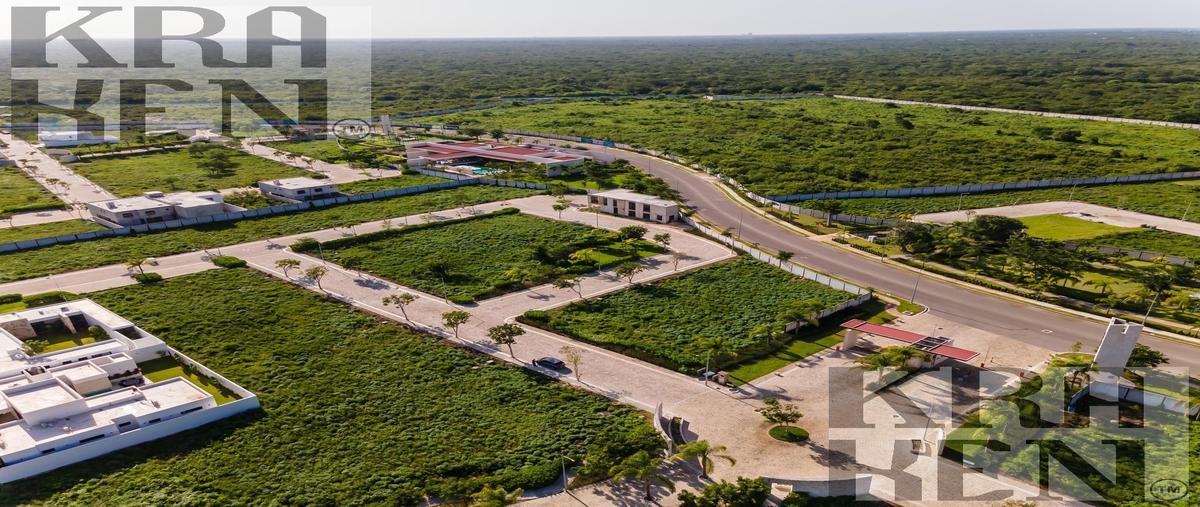 Foto de terreno habitacional en venta en  , temozon norte, mérida, yucatán, 30500082 No. 03
