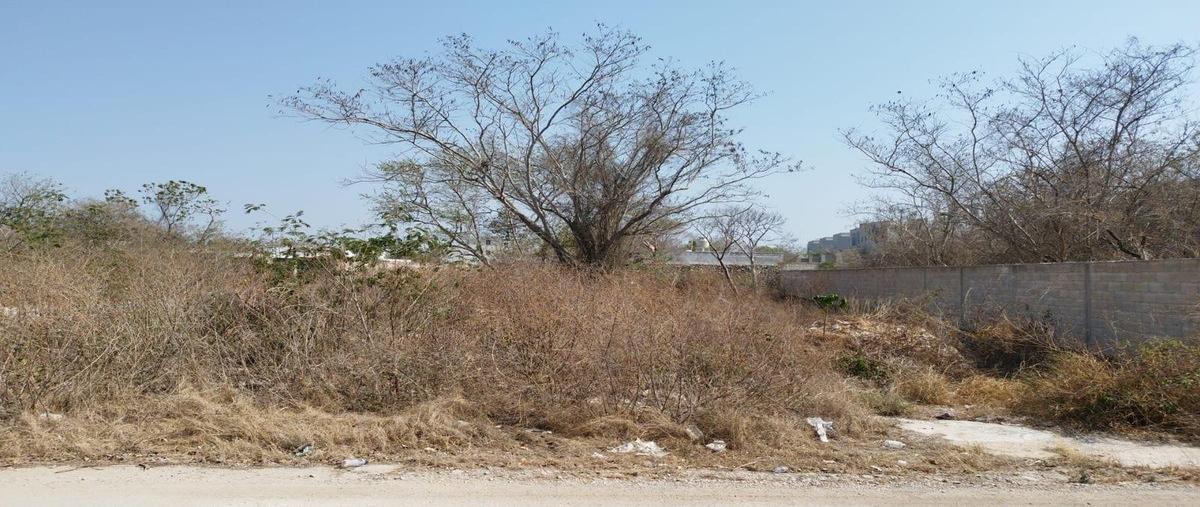 Foto de terreno habitacional en venta en  , temozon norte, mérida, yucatán, 0 No. 03