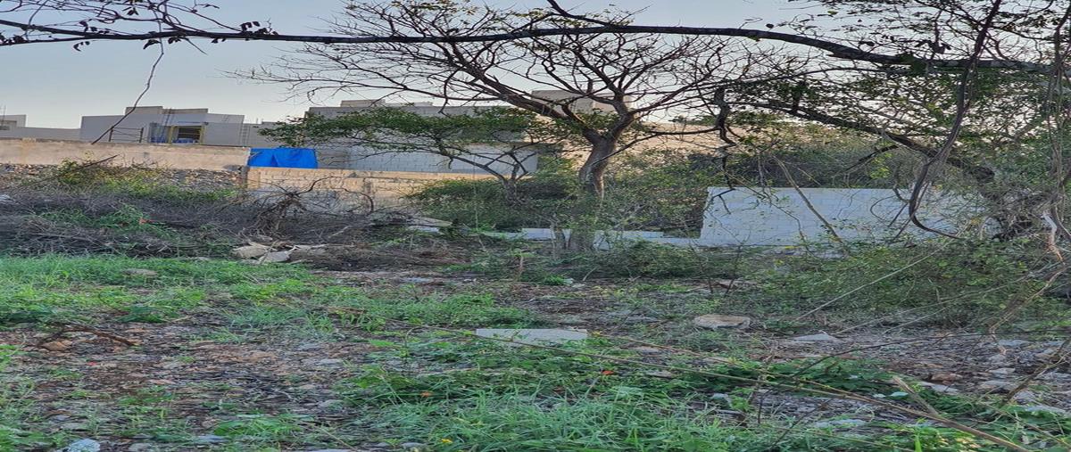Foto de terreno habitacional en venta en  , temozon norte, mérida, yucatán, 0 No. 04