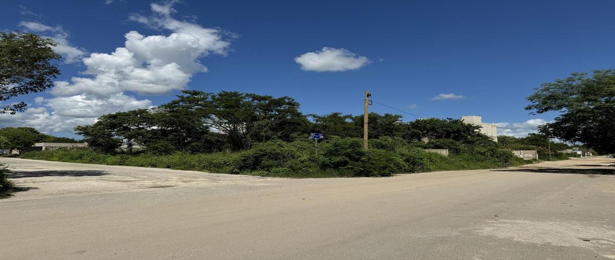 Foto de terreno habitacional en venta en  , temozon norte, mérida, yucatán, 0 No. 05