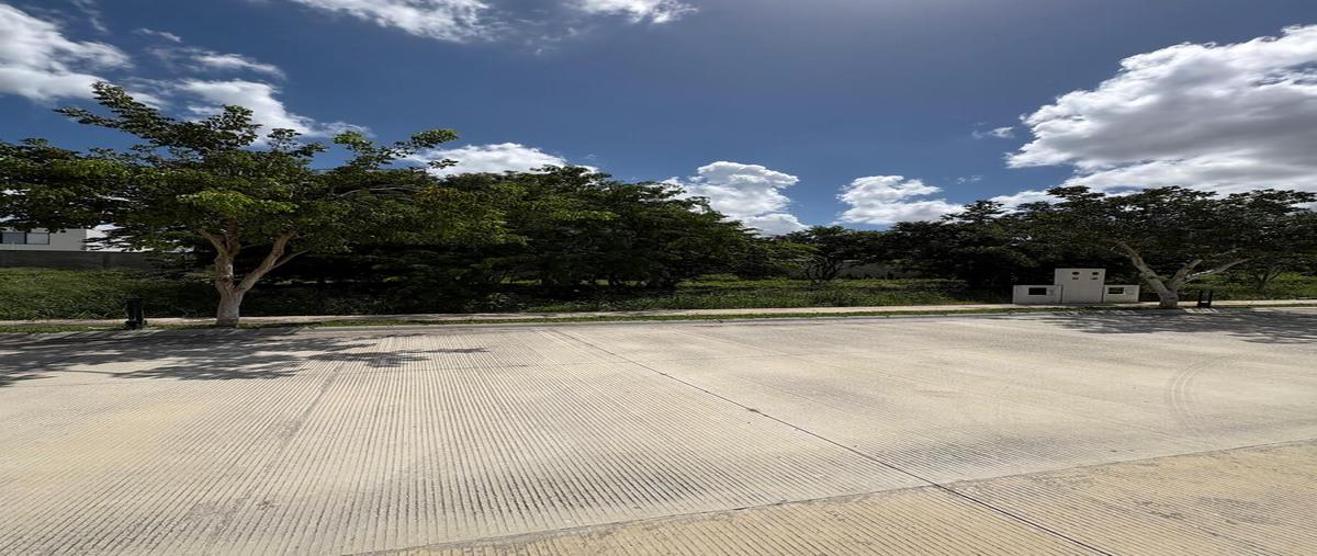 Foto de terreno habitacional en venta en  , temozon norte, mérida, yucatán, 0 No. 05