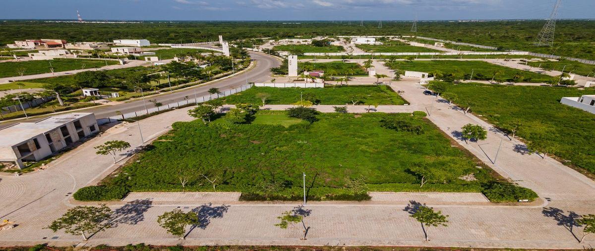 Foto de terreno habitacional en venta en  , temozon norte, mérida, yucatán, 30628120 No. 04