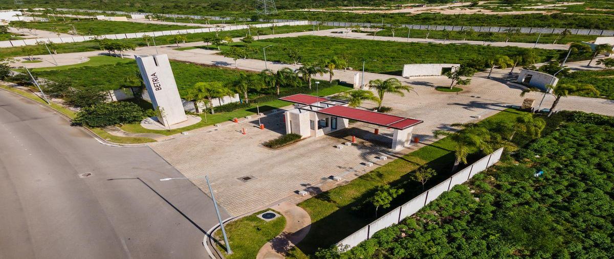 Foto de terreno habitacional en venta en  , temozon norte, mérida, yucatán, 30628120 No. 05
