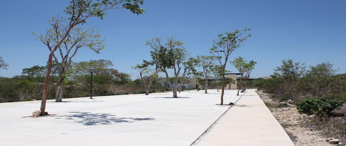 Foto de terreno habitacional en venta en  , temozon norte, mérida, yucatán, 30710471 No. 05