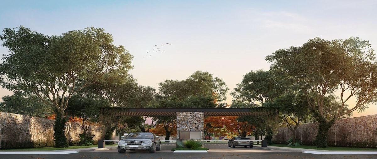 Foto de terreno habitacional en venta en  , temozon norte, mérida, yucatán, 30710478 No. 03