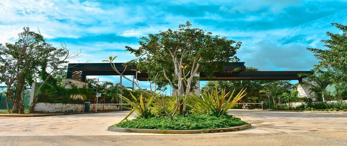 Foto de terreno habitacional en , temozon norte, mérida, yucatán, 0 foto 02 Foto de terreno habitacional en venta en , temozon norte, mérida, yucatán, 0 No. 02