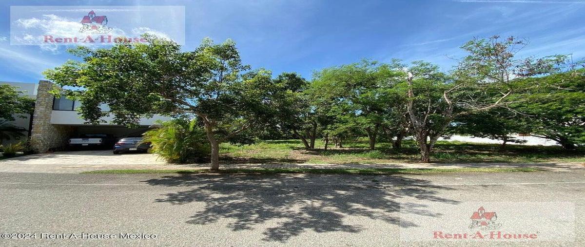 Foto de terreno habitacional en venta en  , temozon norte, mérida, yucatán, 30885502 No. 05