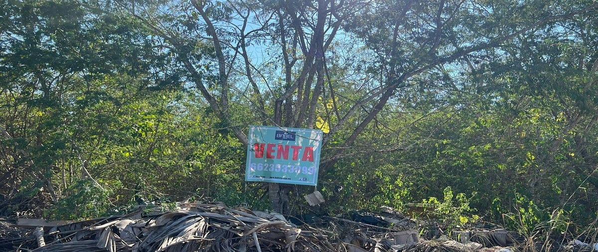 Foto de terreno habitacional en venta en  , temozon norte, mérida, yucatán, 30886262 No. 04