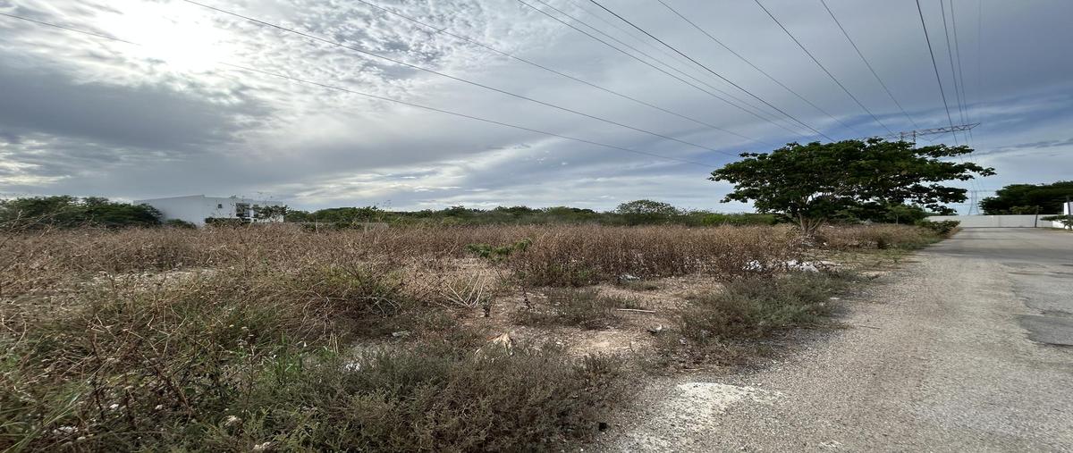 Foto de terreno habitacional en venta en  , temozon norte, mérida, yucatán, 30963756 No. 04