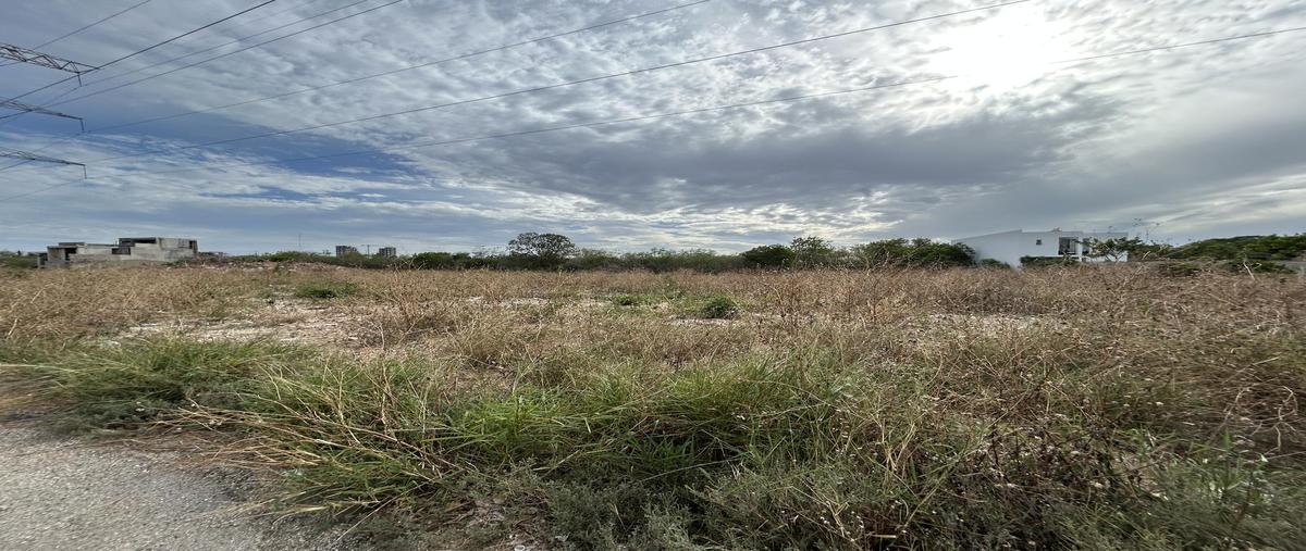 Foto de terreno habitacional en venta en  , temozon norte, mérida, yucatán, 30963756 No. 05
