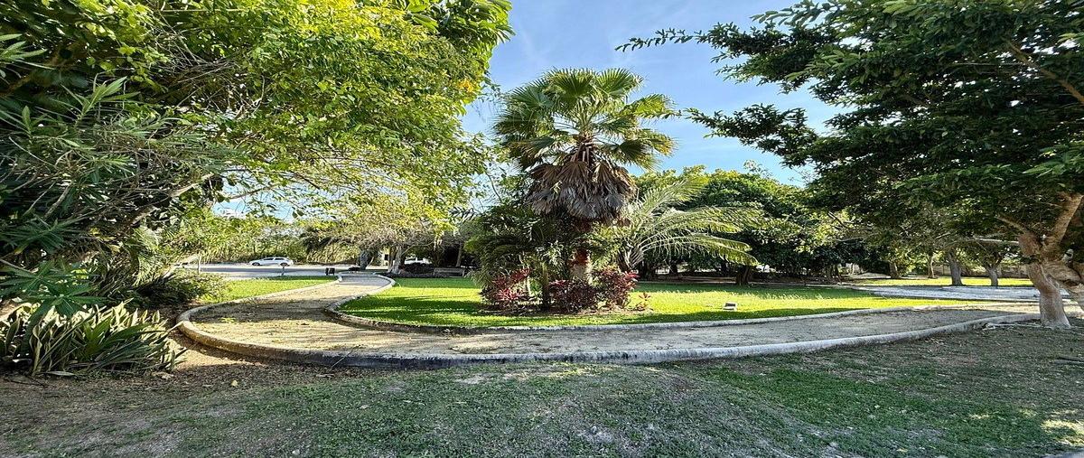 Foto de terreno habitacional en venta en . , temozon norte, mérida, yucatán, 0 No. 04