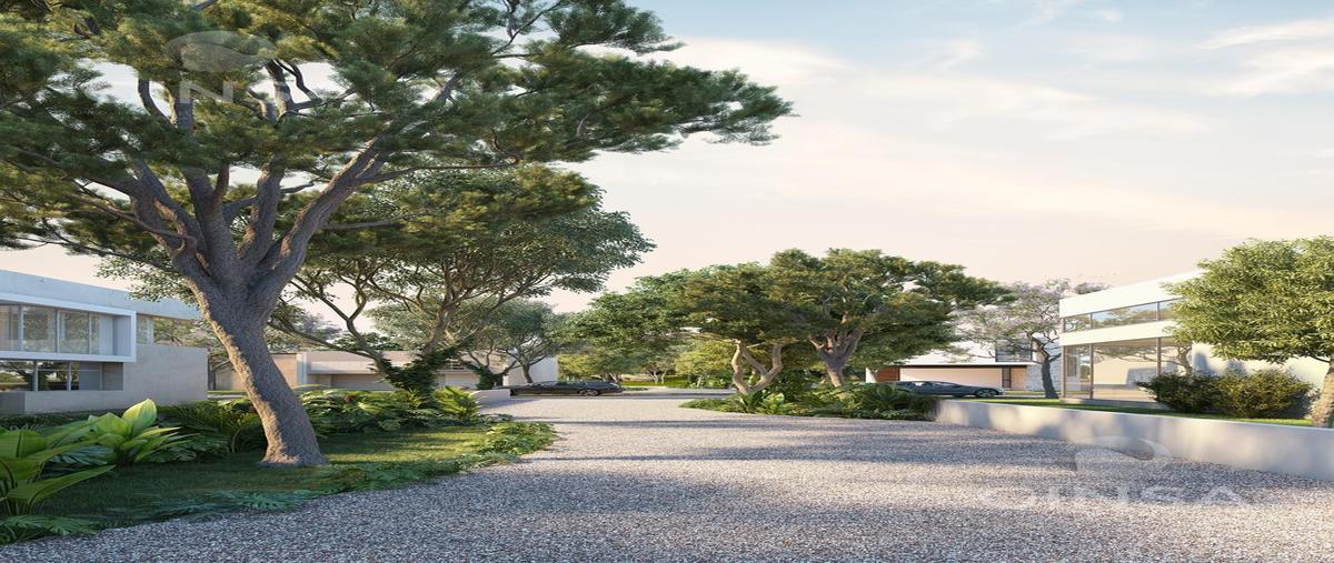 Foto de terreno habitacional en venta en  , temozon norte, mérida, yucatán, 0 No. 03