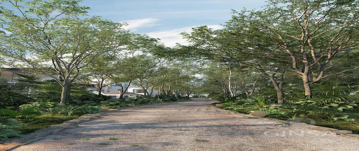 Foto de terreno habitacional en venta en  , temozon norte, mérida, yucatán, 0 No. 05