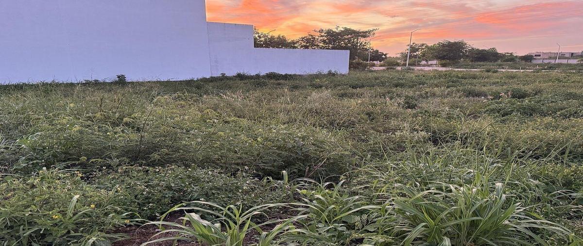 Foto de terreno habitacional en , temozon norte, mérida, yucatán, 0 foto 04 Foto de terreno habitacional en venta en , temozon norte, mérida, yucatán, 0 No. 04