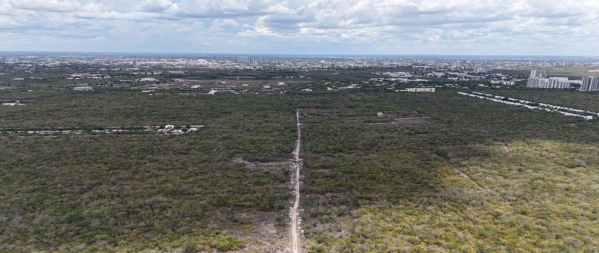 Foto de terreno habitacional en venta en  , temozon norte, mérida, yucatán, 0 No. 03