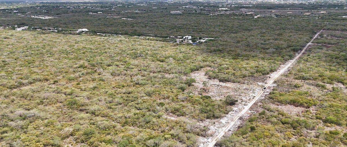 Foto de terreno habitacional en venta en  , temozon norte, mérida, yucatán, 0 No. 05