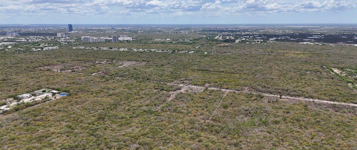 Foto de terreno habitacional en venta en  , temozon norte, mérida, yucatán, 0 No. 04