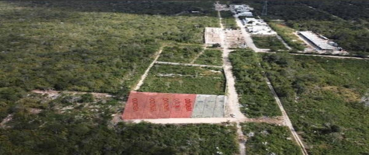 Foto de terreno habitacional en , temozon norte, mérida, yucatán, 31427217 foto 02 Foto de terreno habitacional en venta en , temozon norte, mérida, yucatán, 31427217 No. 02
