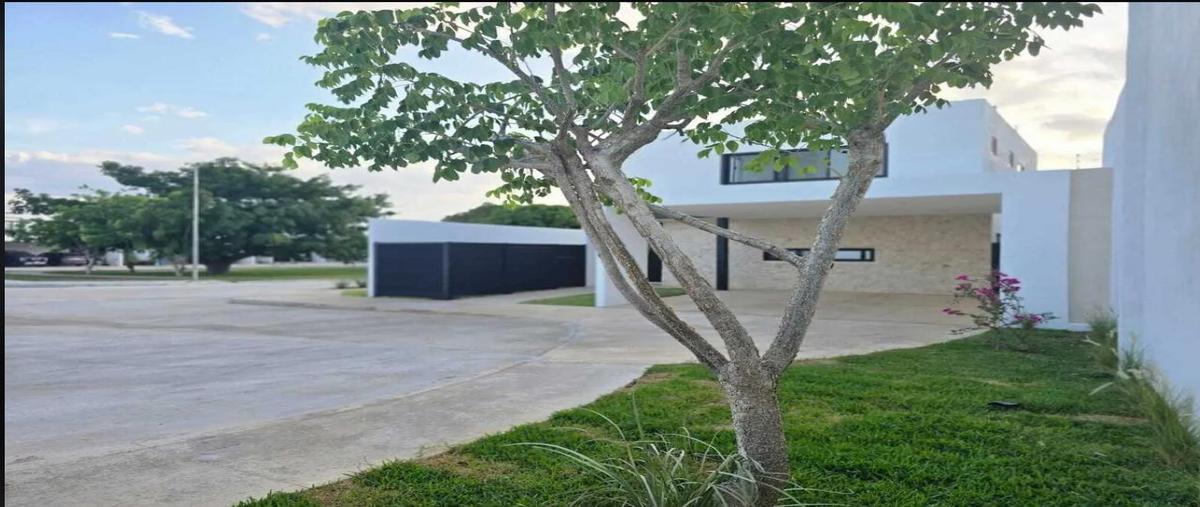 Foto de casa en , temozon norte, mérida, yucatán, 31427304 foto 05 Foto de casa en renta en , temozon norte, mérida, yucatán, 31427304 No. 05